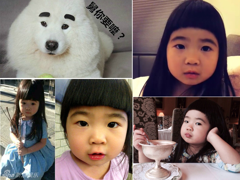 不小心就撞臉了！盤點(diǎn)動(dòng)物界的明星相