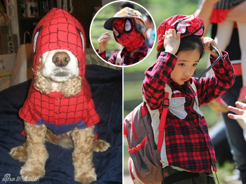 不小心就撞臉了！盤點(diǎn)動(dòng)物界的明星相