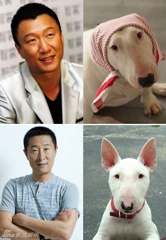 不小心就撞臉了！盤點(diǎn)動(dòng)物界的明星相