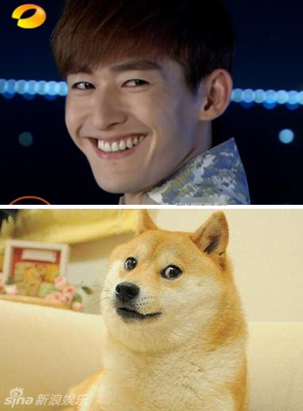 不小心就撞臉了！盤點(diǎn)動(dòng)物界的明星相