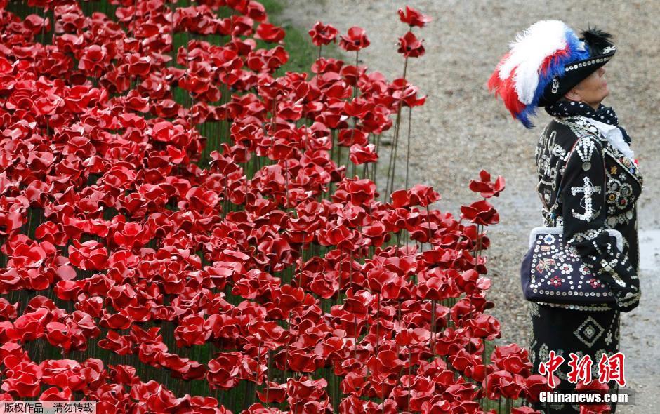 當(dāng)?shù)貢r(shí)間2014年11月10日，英國(guó)倫敦，倫敦塔周邊“種植”了888246朵陶瓷材質(zhì)的罌粟花，以此紀(jì)