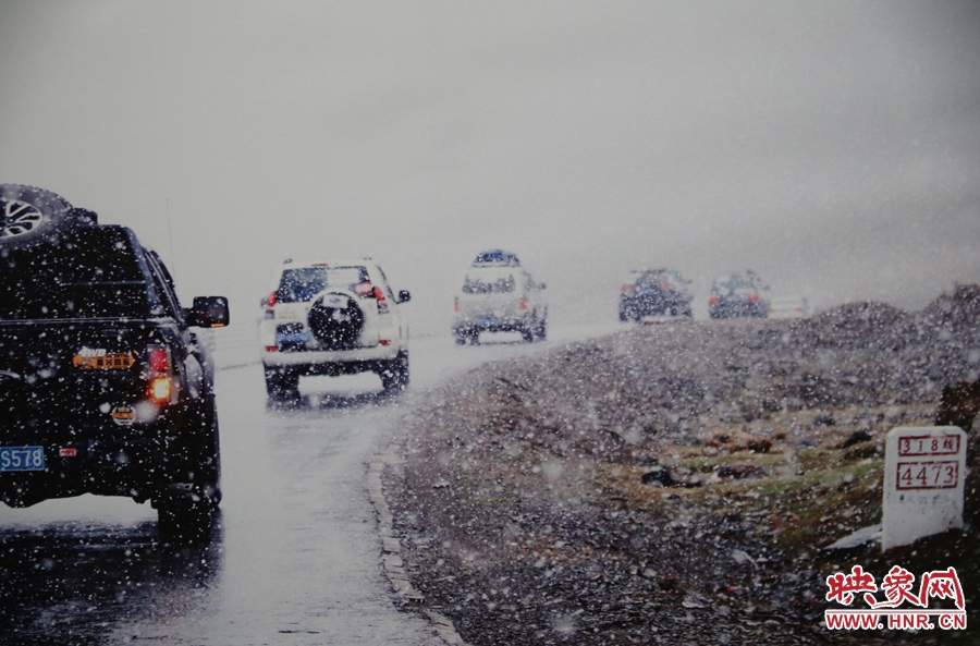 賽車的世界、更是男人的世界。圖為部分參展攝影作品。