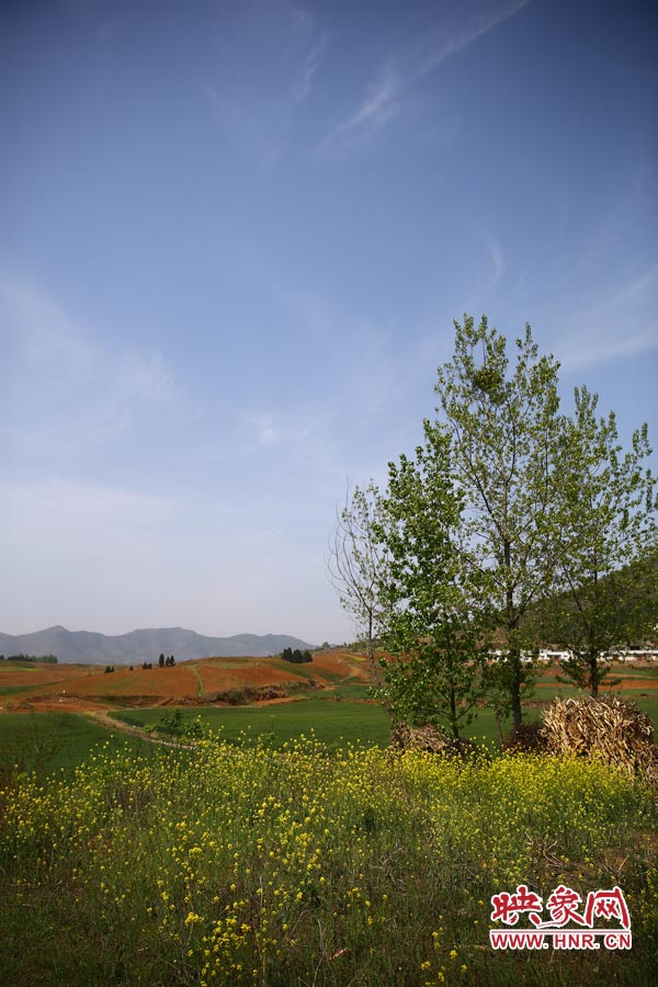 庫區(qū)的藍(lán)天、白云、綠樹、黃花給人清新的享受