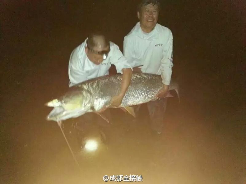 圖為大魚需要兩個人抱起。