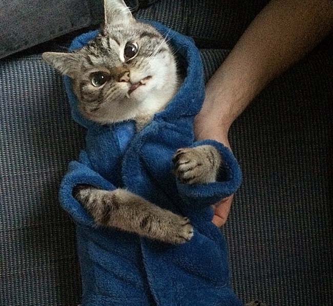 身穿浴袍的Loki好像看起來也沒那么兇哦。