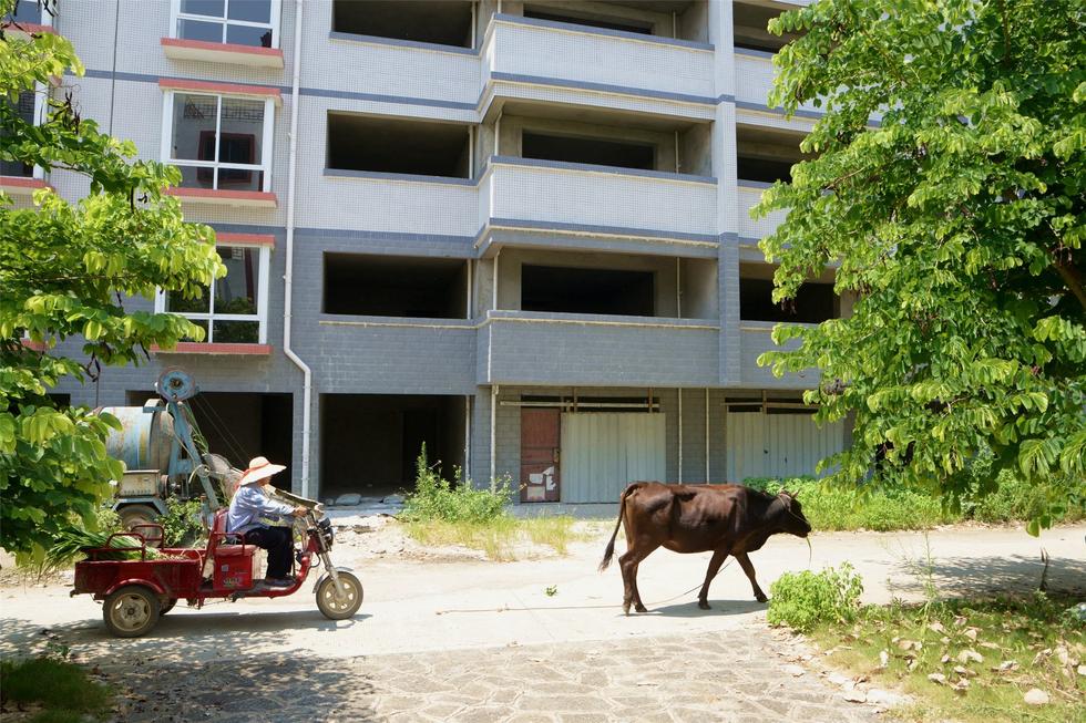 2016年7月26日，村民在廣西來賓市忻城縣隆達(dá)山水福城荒廢別墅間放牛。