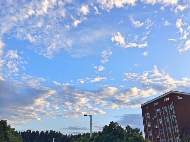 又被鄭州的藍天刷屏！隨便一拍就是手機壁紙