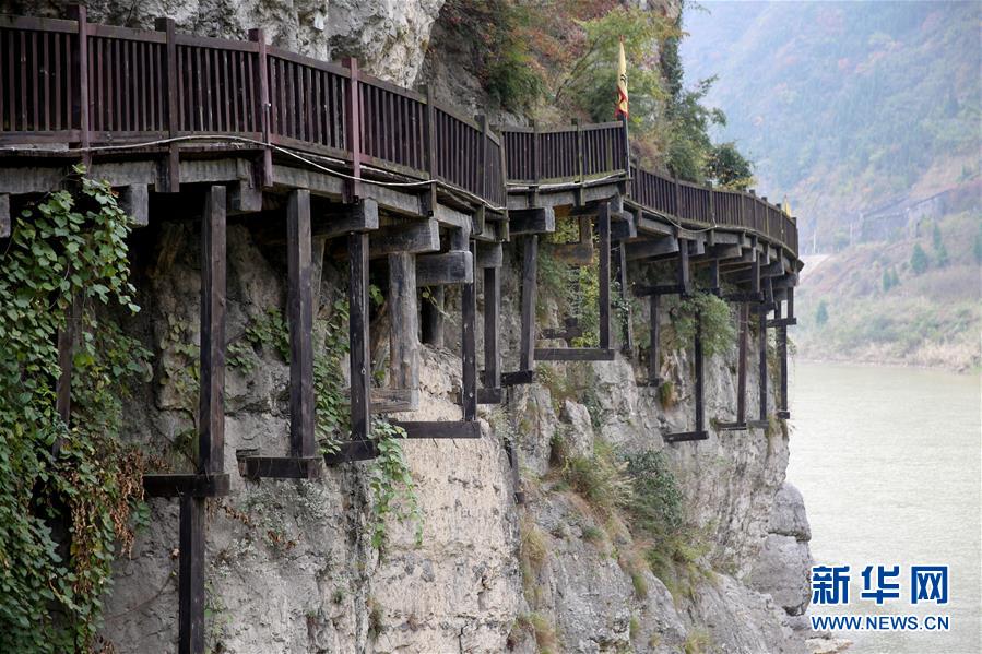 (社會)(11)西成高鐵連起川陜“后花園” (社會)(11)西成高鐵連起川陜“后花園”