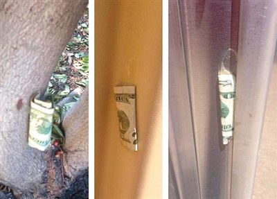 “隱藏的鈔票”會被神秘人藏在公園、廁所等“奇怪的地方”。