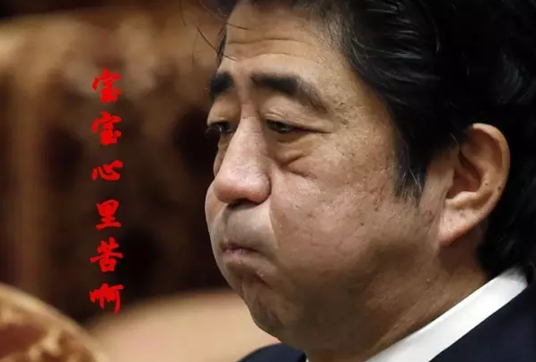 這種看安倍“熱鬧”的事兒，環(huán)環(huán)絕不私藏，一定雨露均沾!