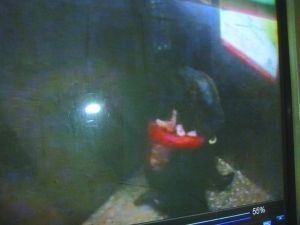 男子將侯某撲倒，侯某反抗。