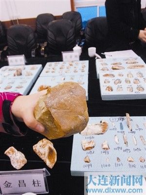 大連發(fā)現(xiàn)古人類活動遺址 或與周口店猿人同時(shí)代