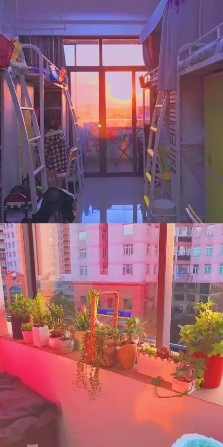 這個學(xué)校的男生宿舍火了！女同學(xué)都喊著要嫁