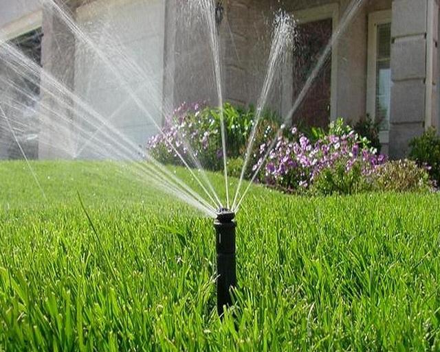 人民日報(bào)：一人澆3000畝地才是互聯(lián)網(wǎng)+三農(nóng)