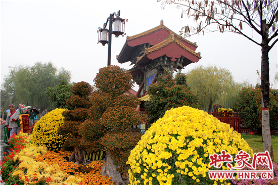天好、花美 中國開封第32屆菊花文化節(jié)延長一周
