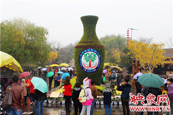 天好、花美 中國開封第32屆菊花文化節(jié)延長一周