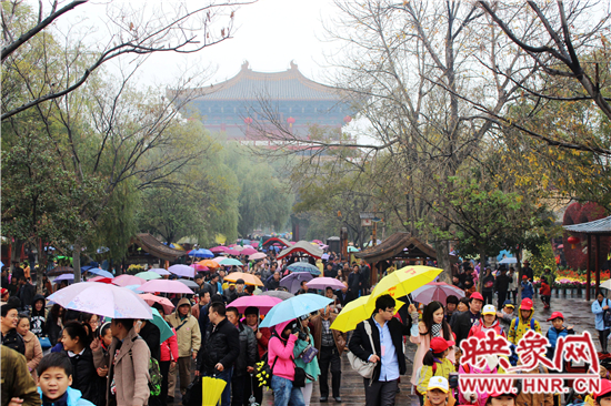 天好、花美 中國開封第32屆菊花文化節(jié)延長一周