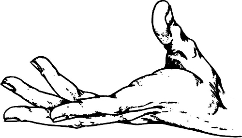 　時(shí)間：拿到通知書，未報(bào)到就可申請(qǐng)