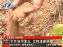 半年滴雨未見(jiàn) 全村莊稼絕收