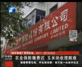 農(nóng)業(yè)保險繳費遲 玉米絕收理賠難