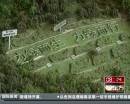 “垃圾場”拍婚紗：玩噱頭還是做環(huán)保？