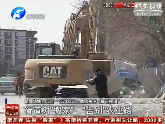 行道樹(shù)“搬家” 告別農(nóng)業(yè)路