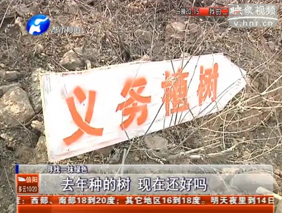 去年種的樹(shù) 現(xiàn)在還好嗎？