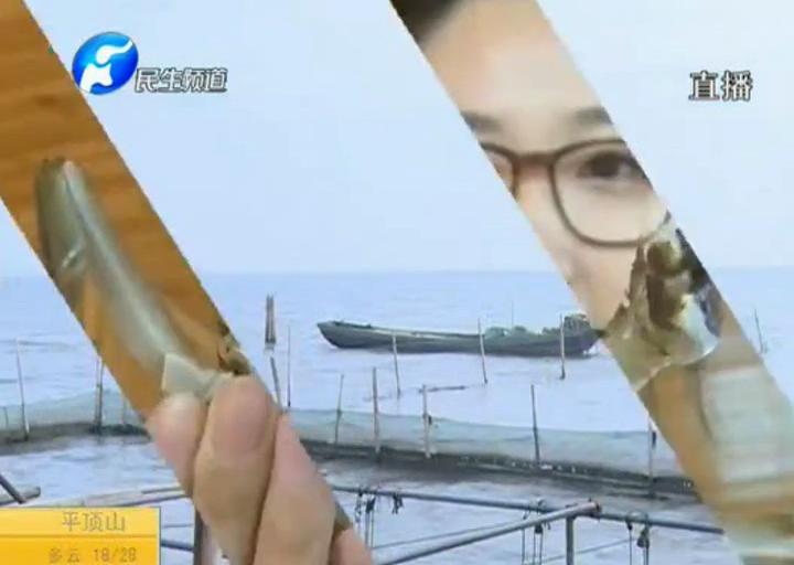 陽澄湖大閘蟹？假的！