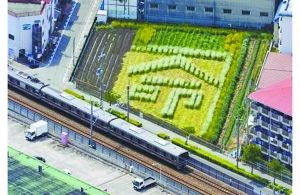 日本2005年列車事故現(xiàn)場(chǎng)附近的一塊農(nóng)田里勾勒出一個(gè)“命”字，以警世人。