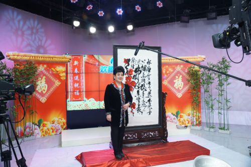 公司特聘請(qǐng)國家一級(jí)著名豫劇演員王希玲作為春節(jié)期間“歡騰購物”形象大使