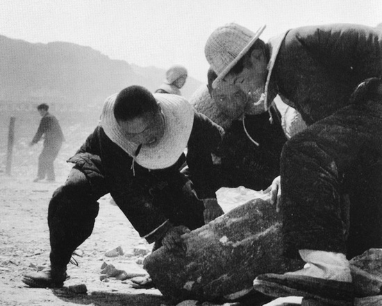 抬石頭，多少人手上都磨出了老繭